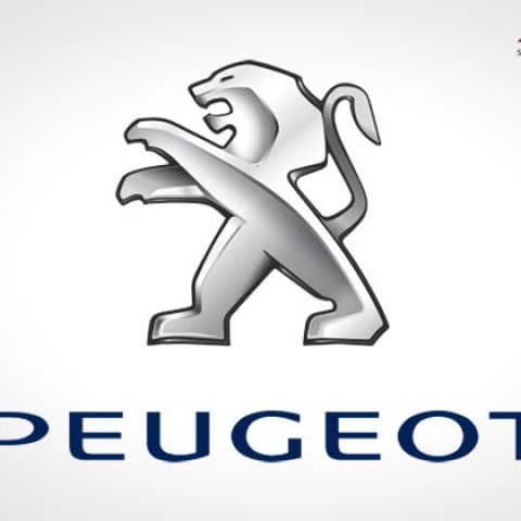 Пересчёт пробега в дампе электронного спидометра Peugeot
